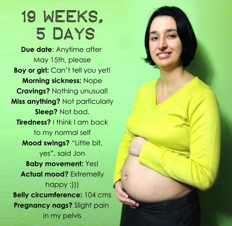 19 weeks, 5 days