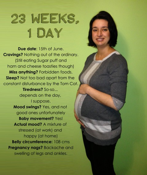 23 weeks, 1 day