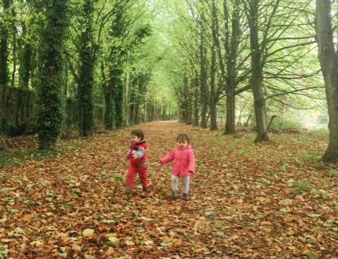 Autumn playing